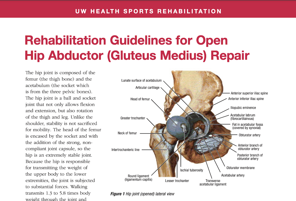 Hip Preservation Resources – Department of Orthopedics and Rehabilitation